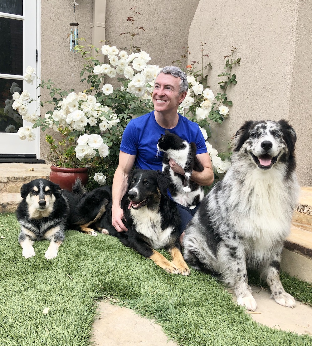 Animal Communication Page 5 Simple Steps to Understand Your Pet Animal Communication Page 5 Simple Steps to Understand Your Pet