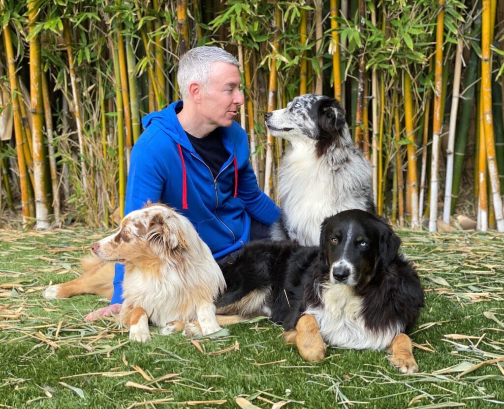 A Simple and Effective Intuitive Animal Communication Technique